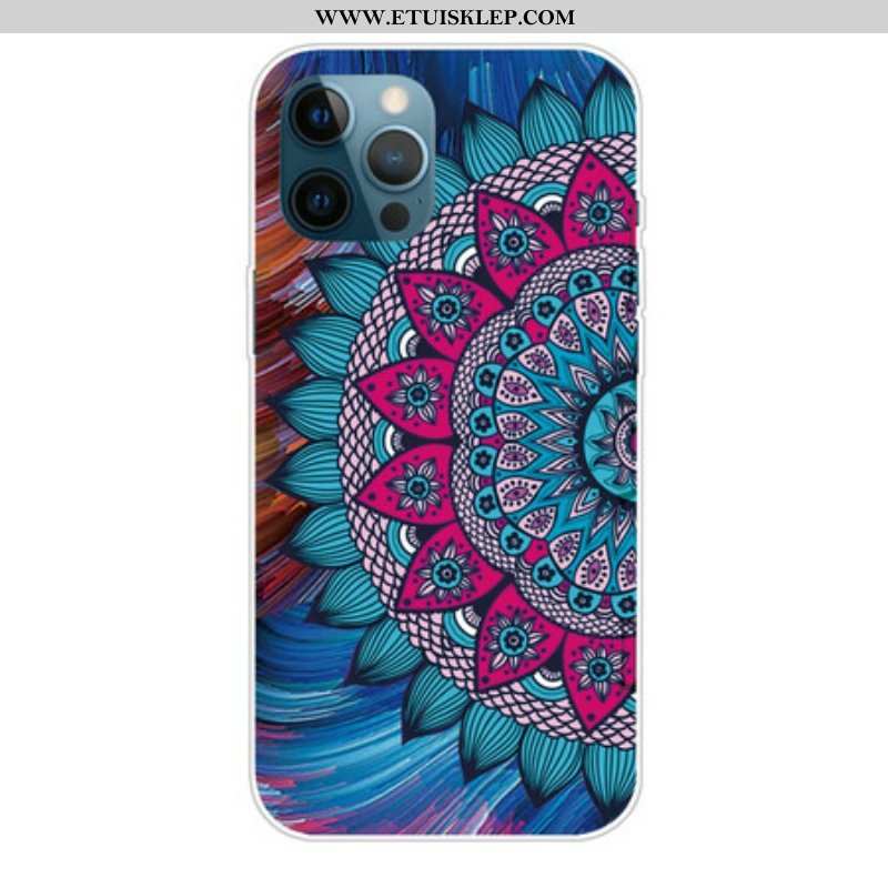 Etui do iPhone 13 Pro Max Kolorowa Mandala